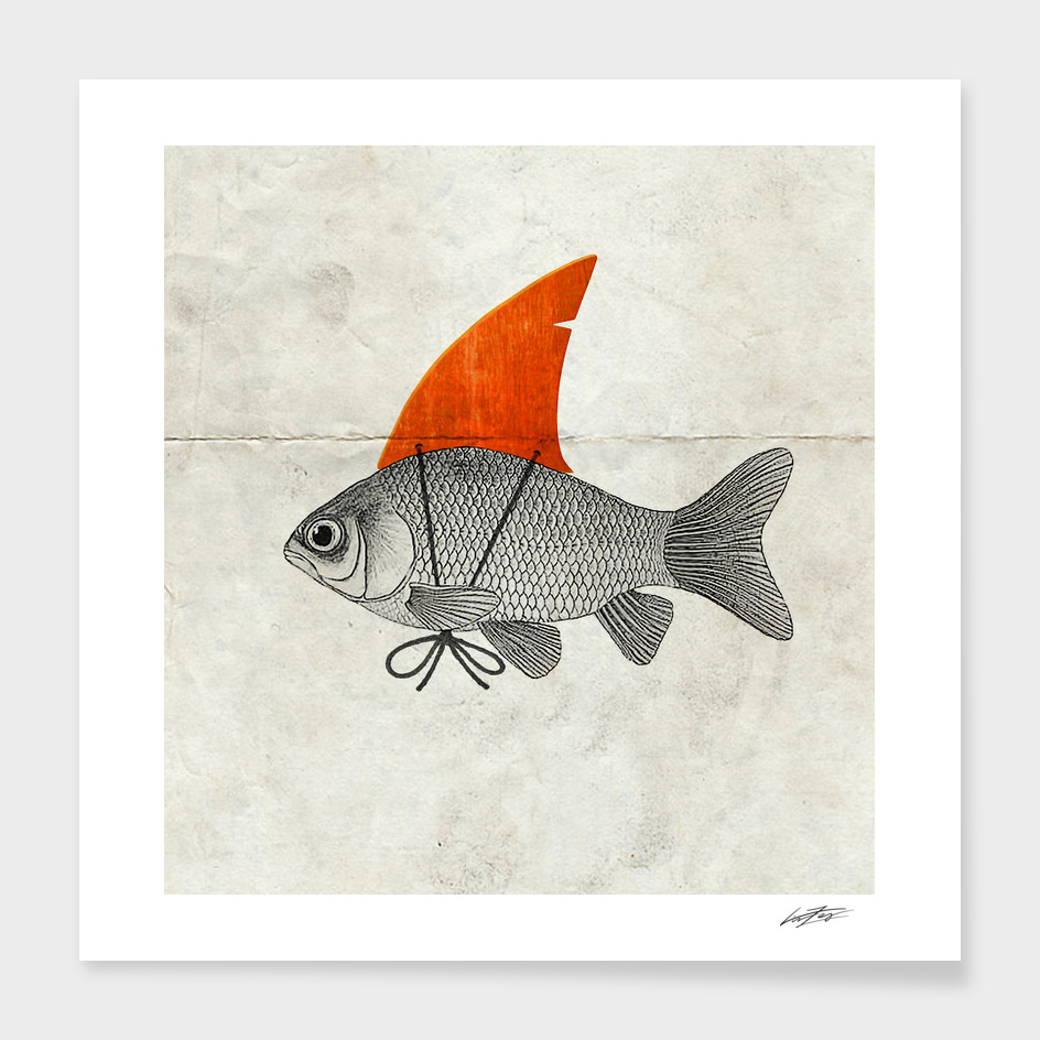 Fish